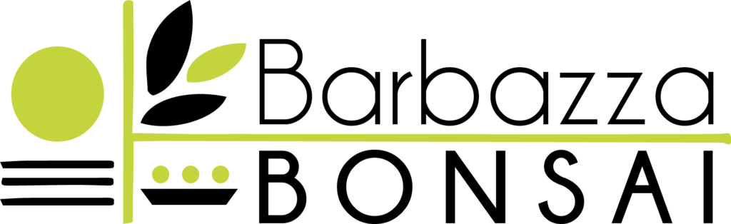 Logo Barbazza Bonsai