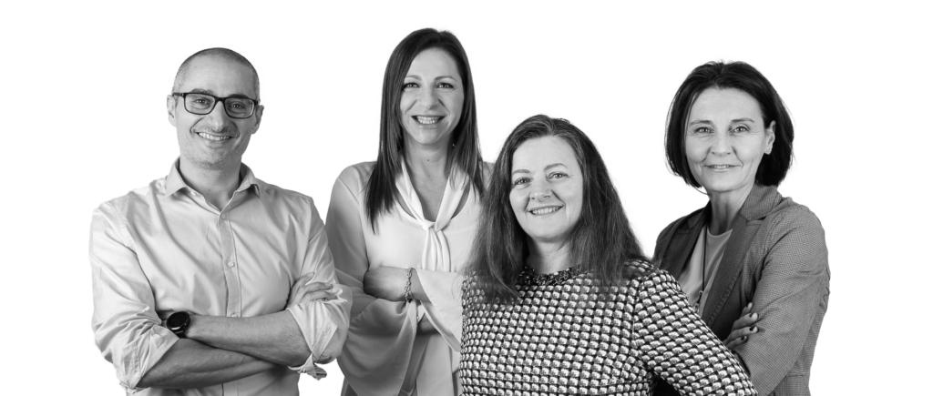 Consulenti software