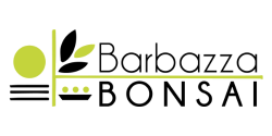 logo barbazzabonsai
